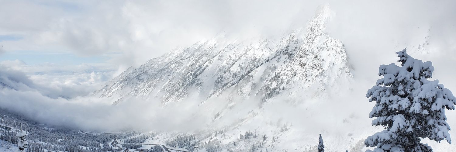 The Daily POW banner