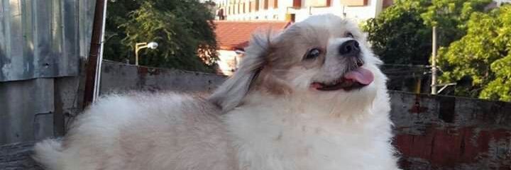 eskellyyy's profile banner image