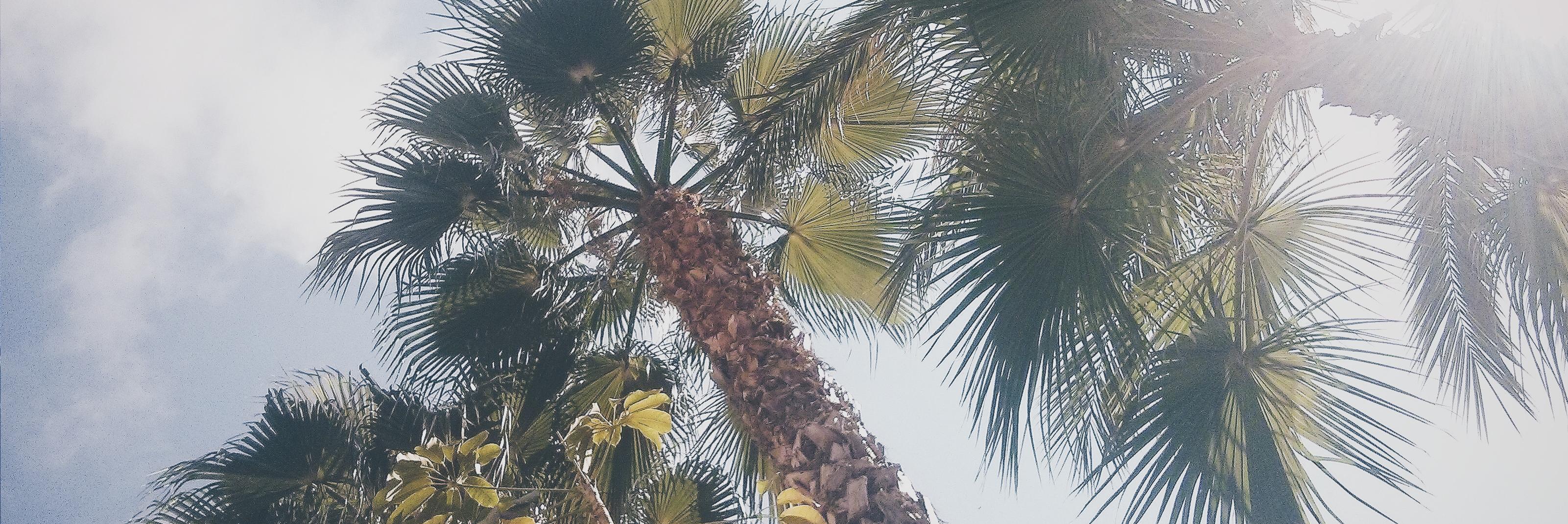 paulagduque_'s profile banner image