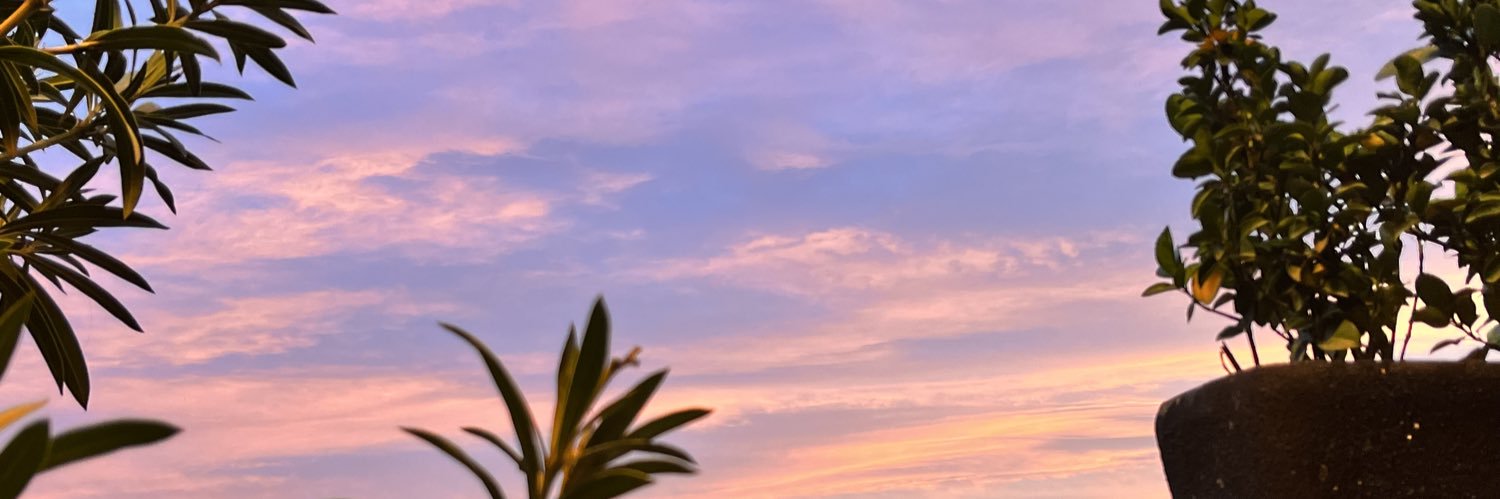 نیلزی🎀 banner
