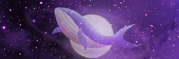 isabellafira's profile banner image