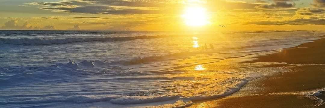 🅐︎🅡︎🅘︎🅐︎🅝︎7🇲🇽🇧🇪🇧🇻 banner