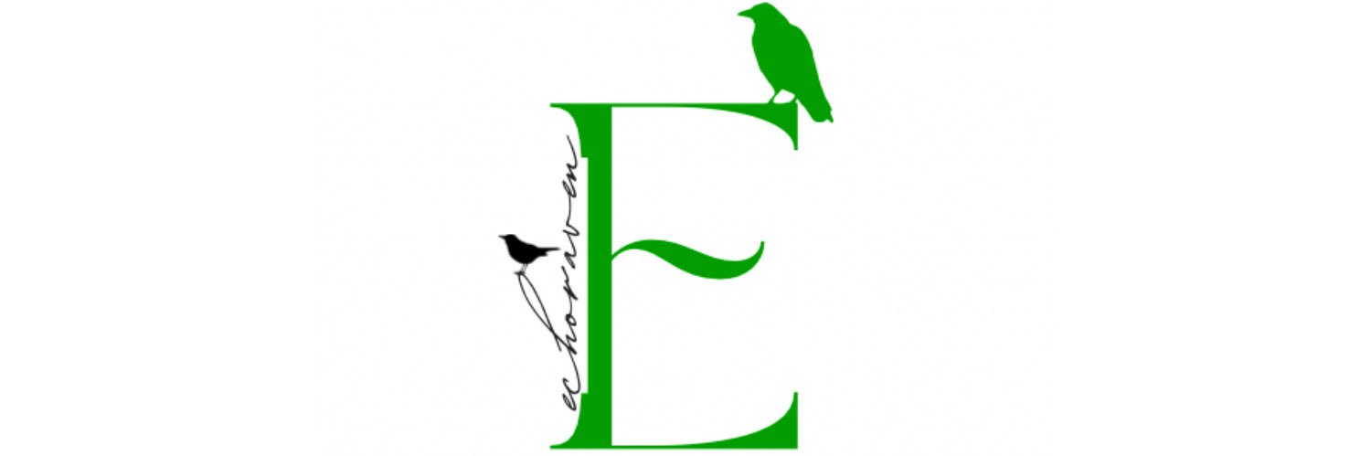 echo_Raven04 banner