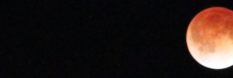 lstehr's profile banner image