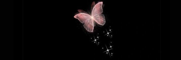 batool_rashdan Profile Banner