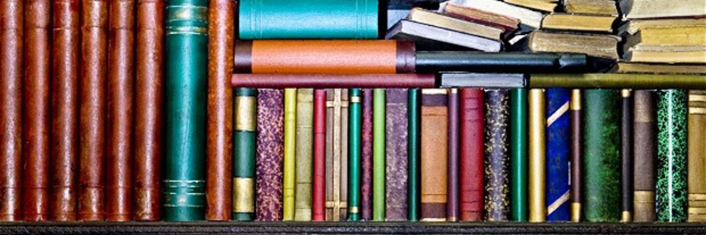 Stephanie Smith banner