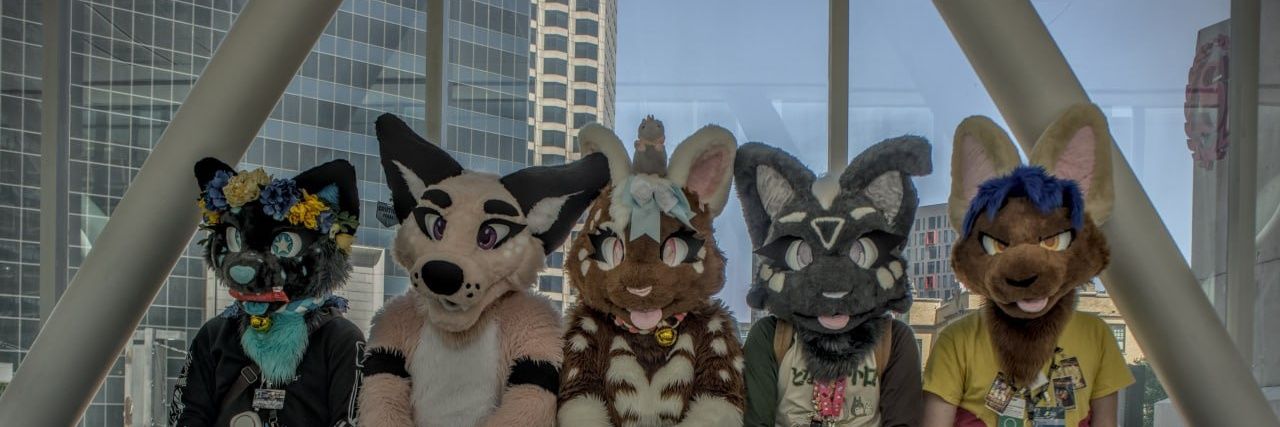 shrubwubs's profile banner image