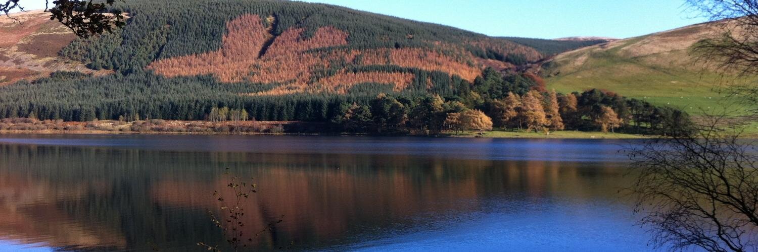 Andrew Anderson banner