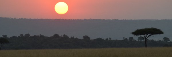 fidias_c Profile Banner