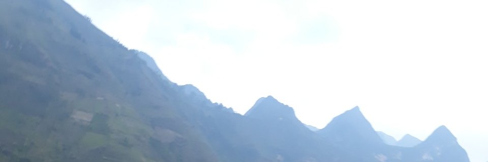 flowflyin2021's profile banner image