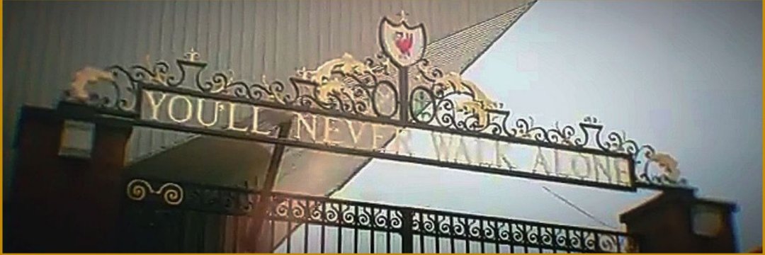 𝙼𝙰𝚇 𝕏 𝚁𝙴𝙸𝙲𝙷 banner