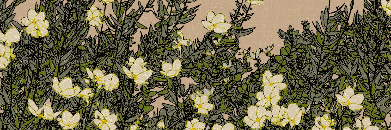 Nat Sarkissian's banner