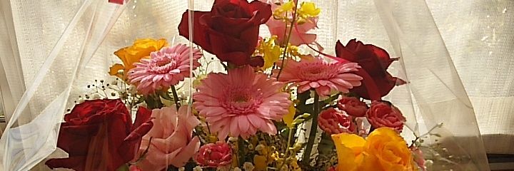 aa113079's profile banner image