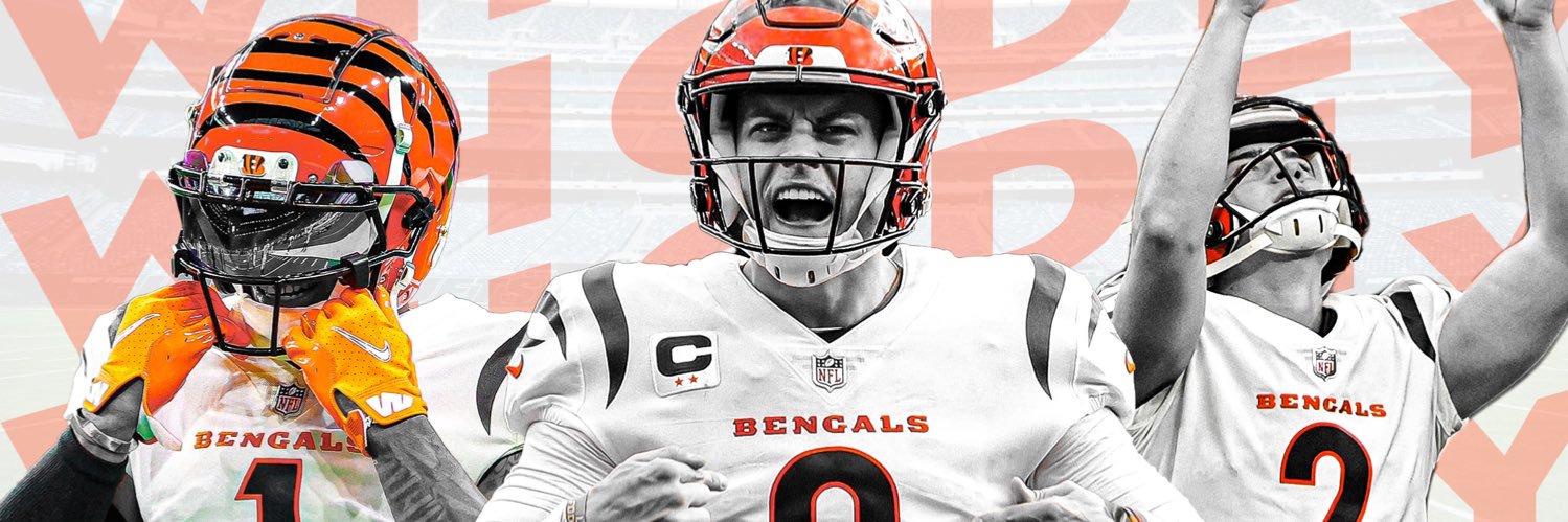 skyline chili banner