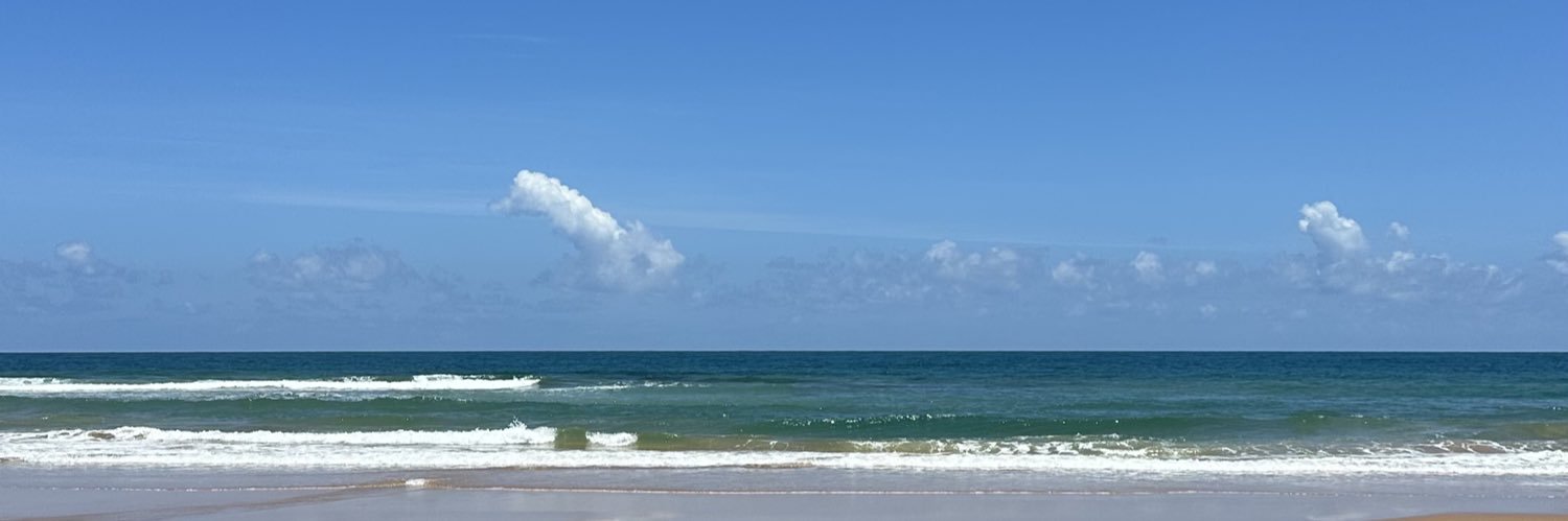 laritravisani's profile banner image