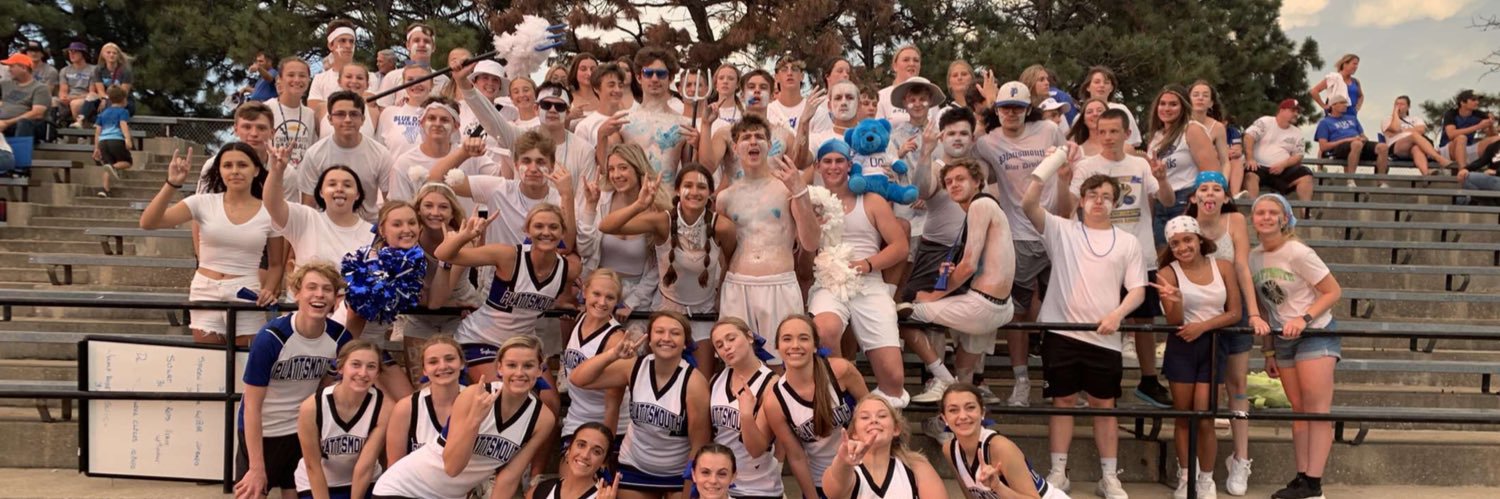 Blue Devil Barstool banner