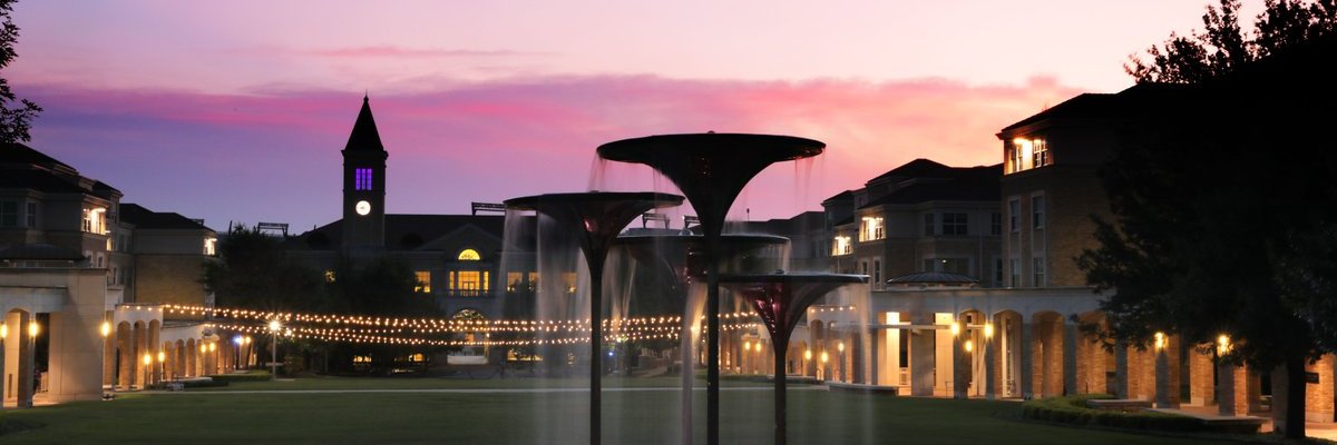 LexiTCUSM's profile banner image