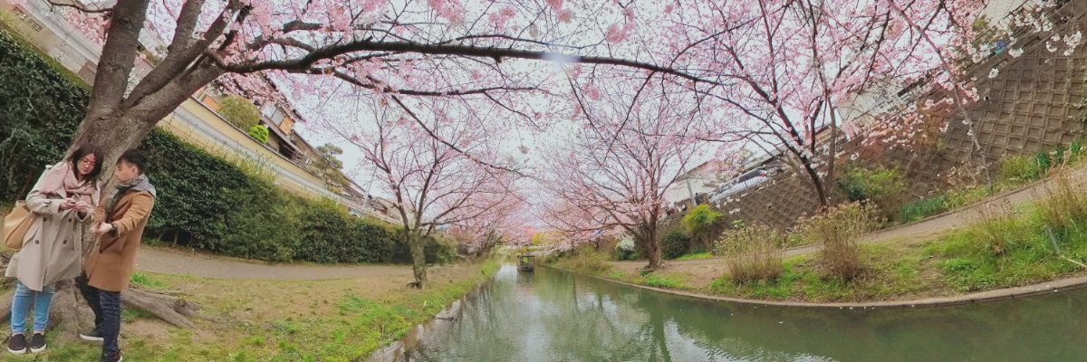 abev66's profile banner image