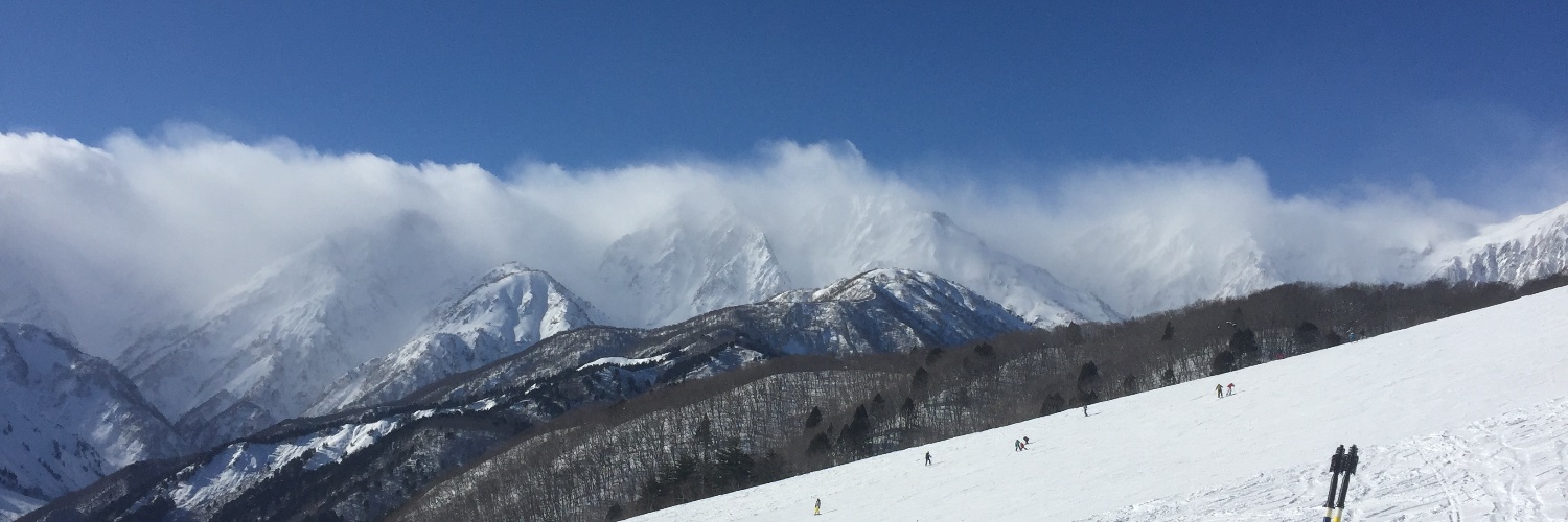 やゔぁいす😈❄️ banner