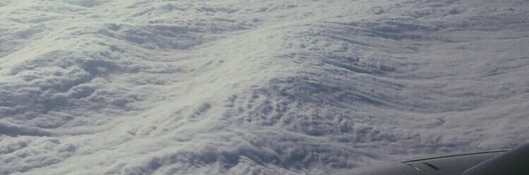 fofom333's profile banner image