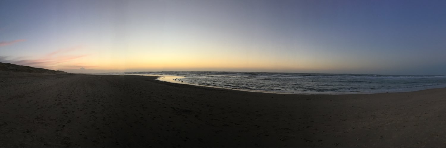 🎗️דָּוִד banner