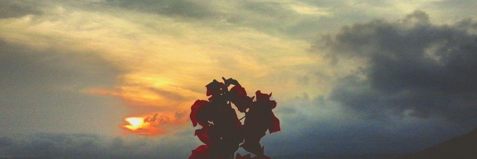 Rhismaewa's profile banner image