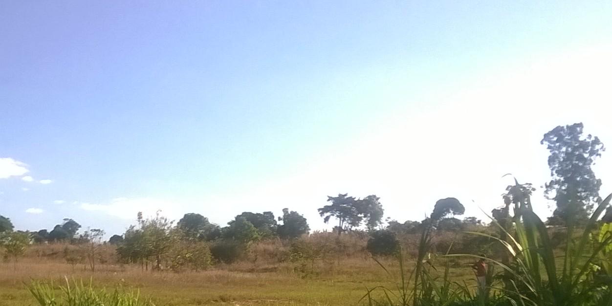 KitigoG's profile banner image