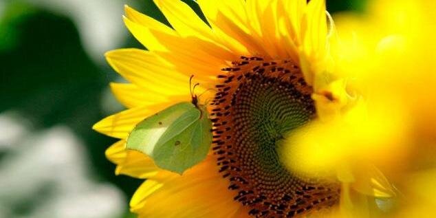 ke_ikhe's profile banner image