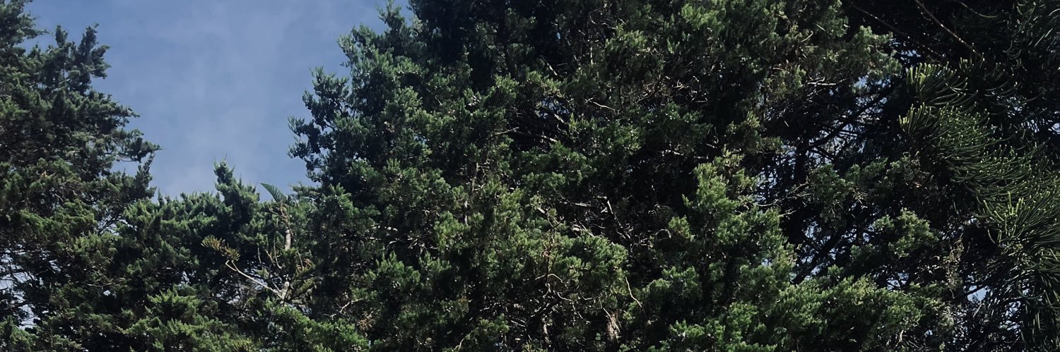 lupksdh's profile banner image