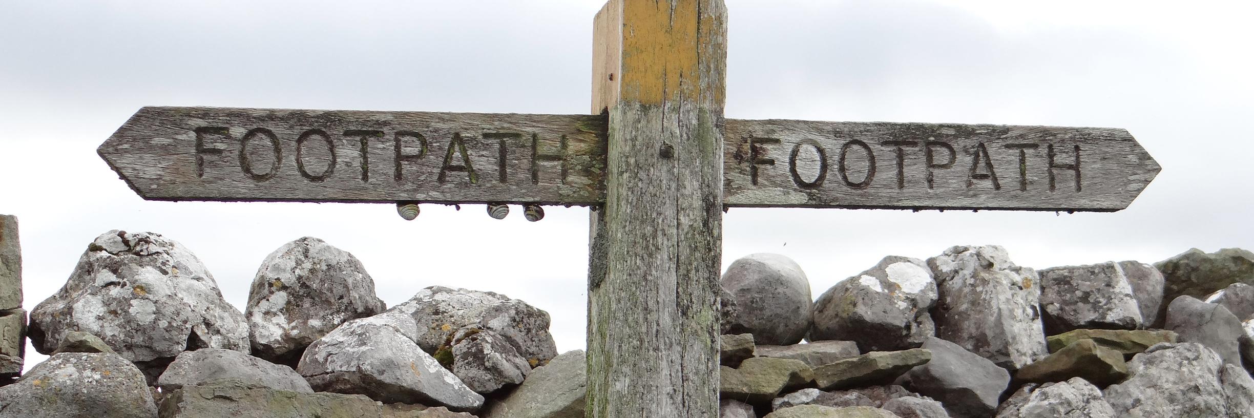 Dr Anna Seabourne banner