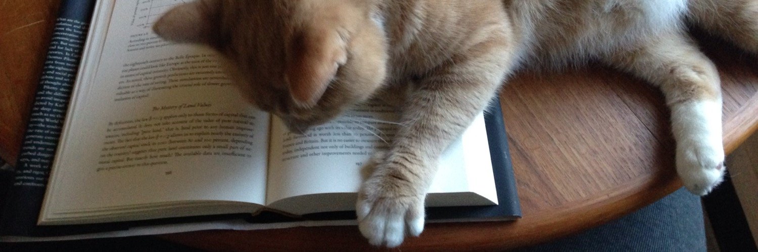 Joaquin Maguire banner