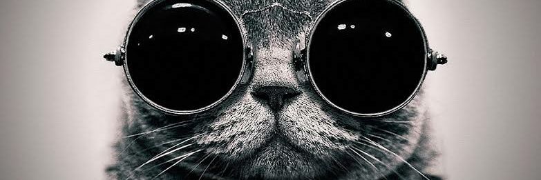 CoolSakshiP's profile banner image