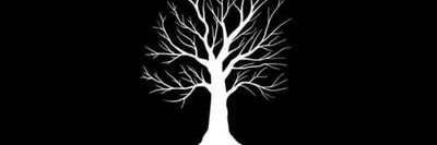 AfricanBlackPot's profile banner image