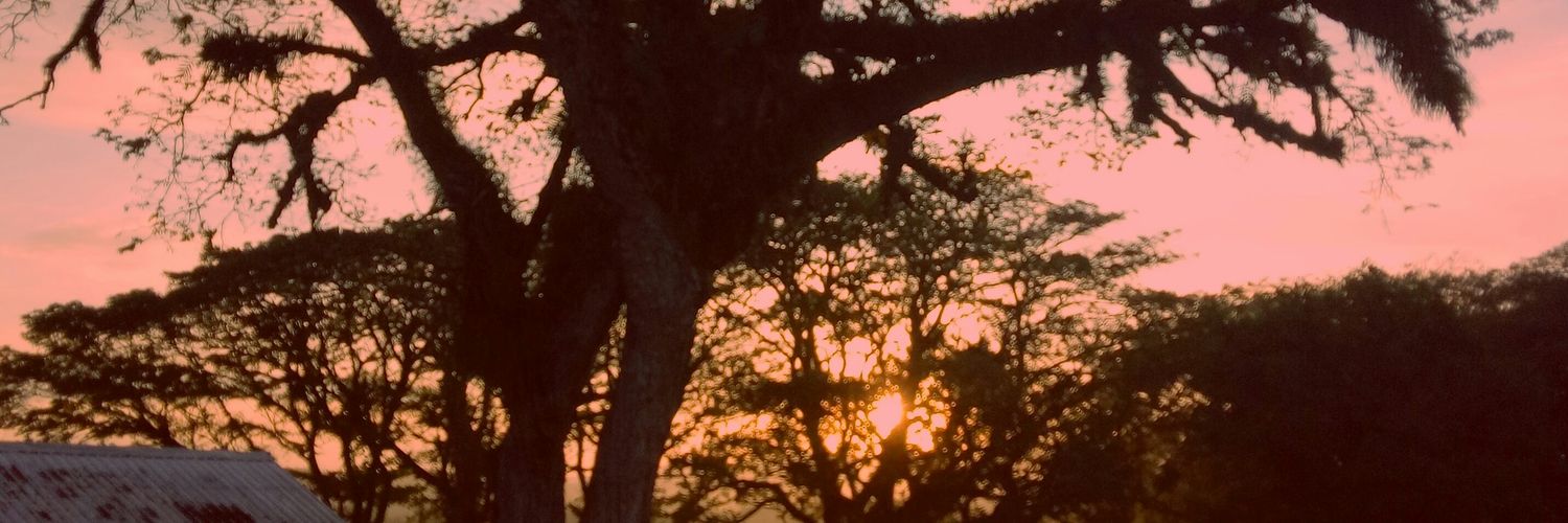 VaniaMustikaa_'s profile banner image