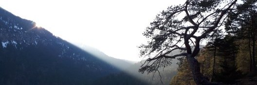 Tiia Talvisara banner