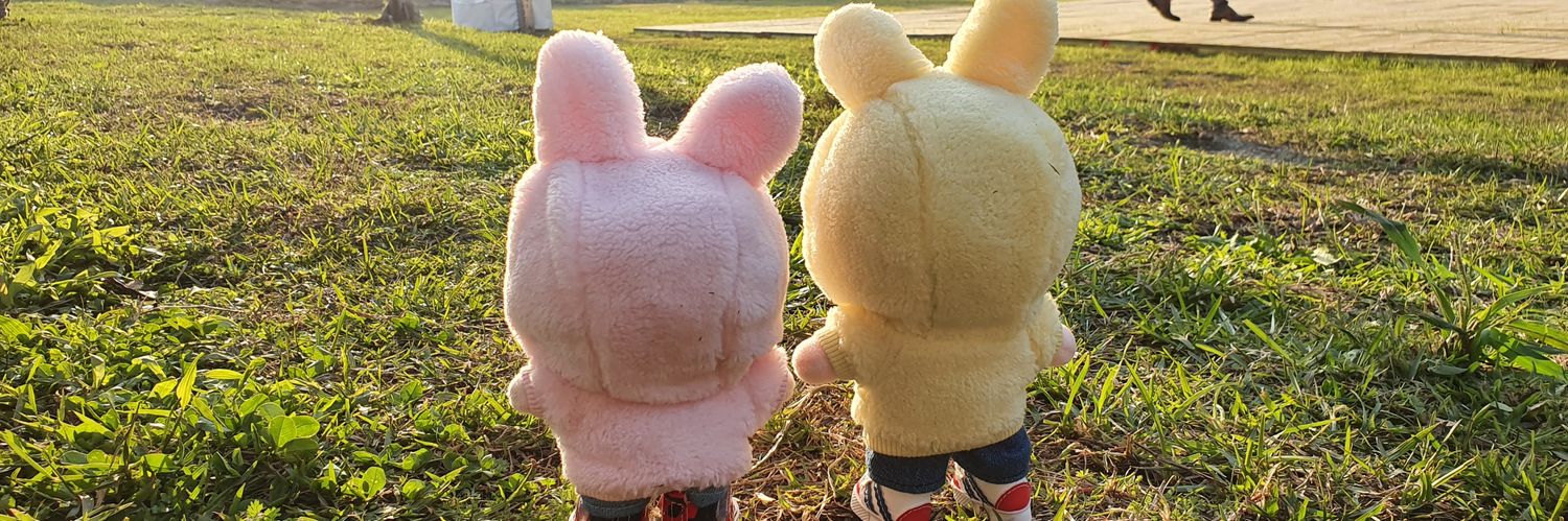 피쉬 banner