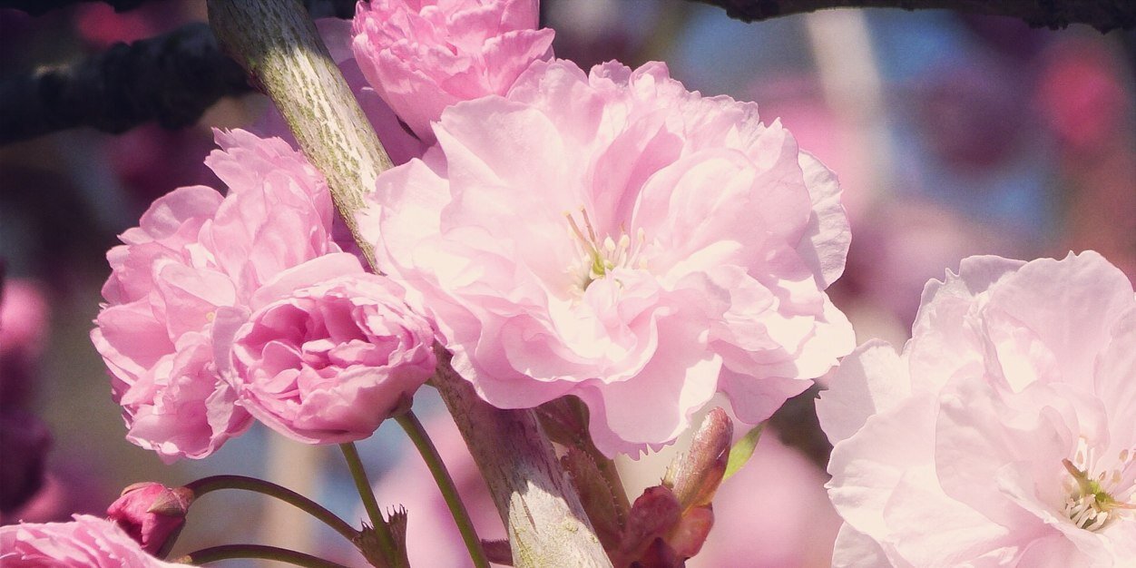 artymiss's profile banner image