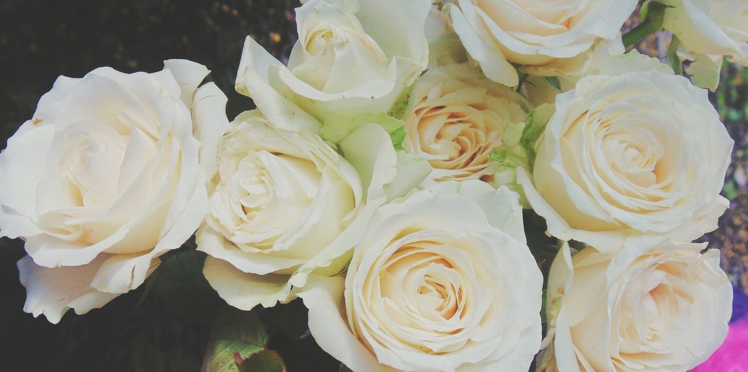 Prashansa Punjabi banner