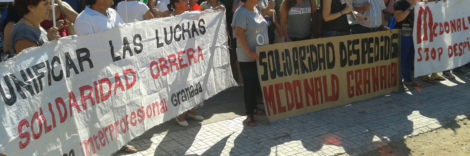 Lavín's banner