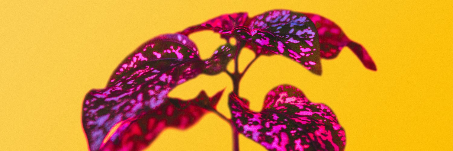 iSophus's profile banner image