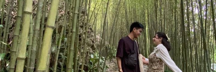 jmvhds's profile banner image