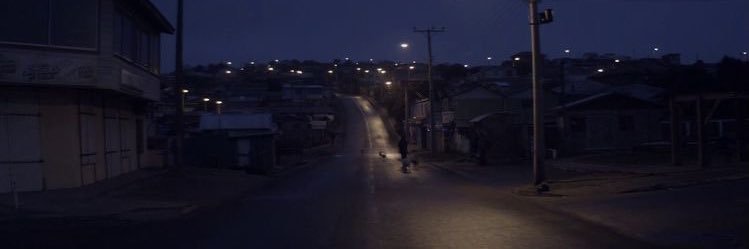 txtdariaisy's profile banner image