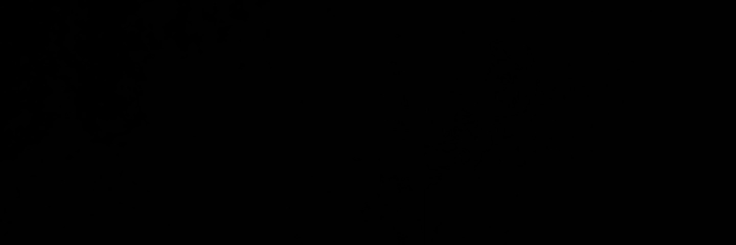 evorafutebol's profile banner image