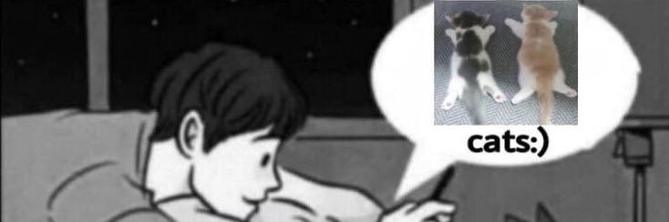 the case of DH CL's banner