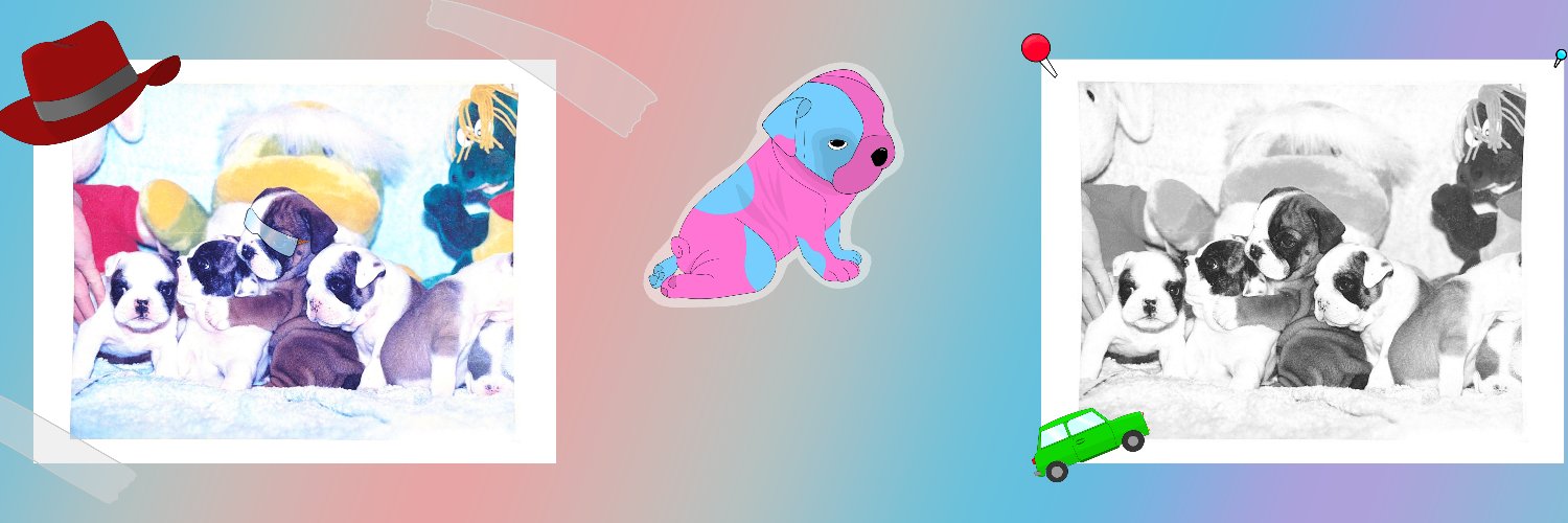 Choco4life_'s profile banner image