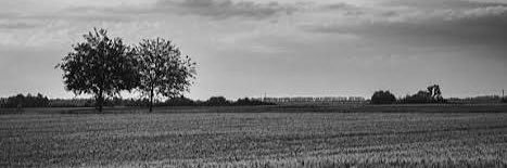 _ramazantas's profile banner image