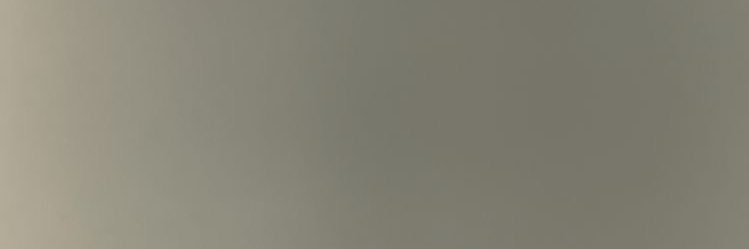 pinazokatelyne's profile banner image
