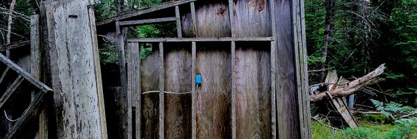 AndwerEric Profile Banner