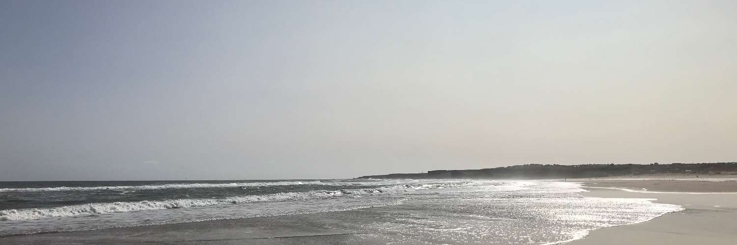 Neil banner