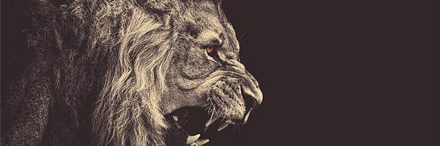 n_batatin's profile banner image